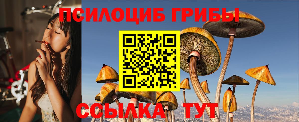 Псилоцибиновые грибы Magic Shrooms  Вход с VPN  Архангельск 
